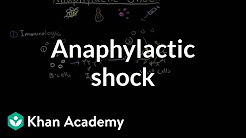 Anaphylactic shock | Circulatory System and Disease | NCLEX-RN | Khan Academy