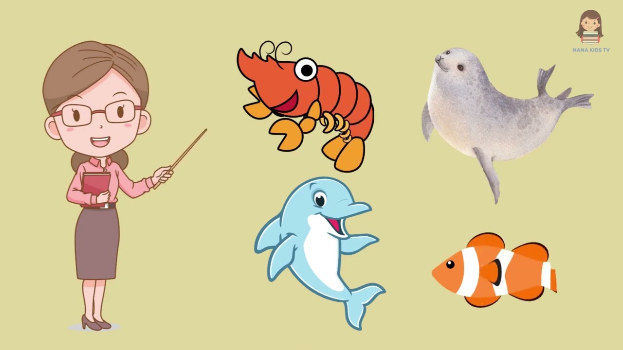 Bé học gọi tên các loài động vật biển | Nana Kids TV