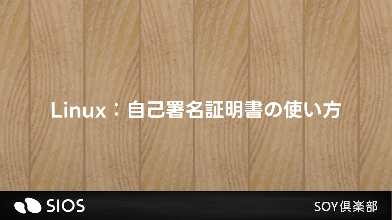【SOY俱楽部勉強会】Linuxでの自己署名証明書の使い方 - YouTube