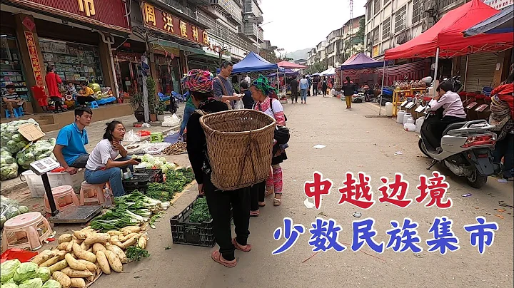中越邊境少數民族集市，當地人把蝗蟲當菜吃，苗族老人會幫人治病 - 天天要聞