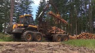 Miller Timber Services Ponsse Elephant King - Oregon