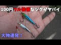 ダイソーマイクロジグ釣れすぎワロタｗｗ