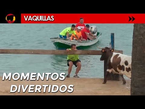 Vídeo: Loco De Del Toro 