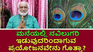 Vastu Tips Significance Of Peacock Feather | Vijay Karnataka