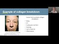What's all the Hype about Collagen-- by Kate Rheaume, ND