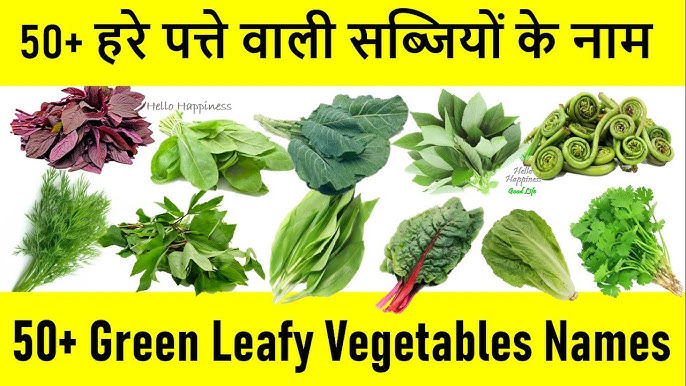 Green Leafy Vegetables Name In English And Marathi With 57 OFF green-leafy-vegetables-name-in-english-and-marathi-with-57-off