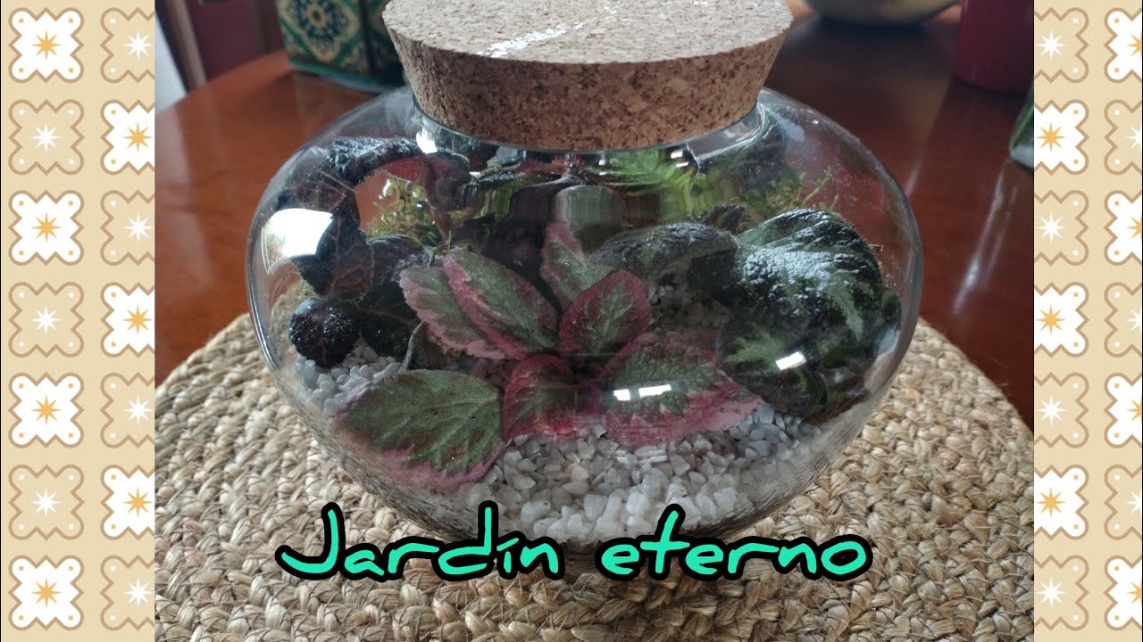 Crea tu propio terrario