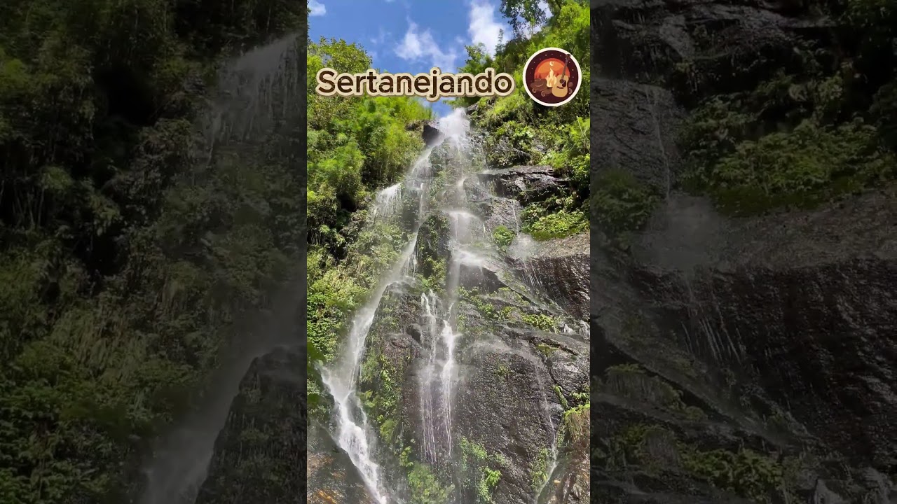 Café, Viola e Fé ☕ | Modão Raiz Que Acalma o Coração  