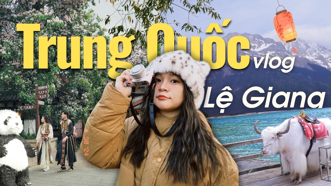 Du lịch Trung Quốc | Lần đầu ngắm tuyết trên đỉnh núi Ngọc Long, cổ trấn Lệ Giang đẹp ngỡ ngàng