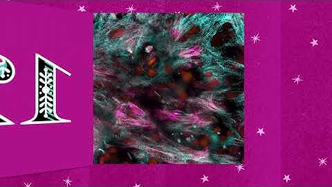 12 December 2025 - Lund University Bioimaging Centre - Christmas Calendar 2025