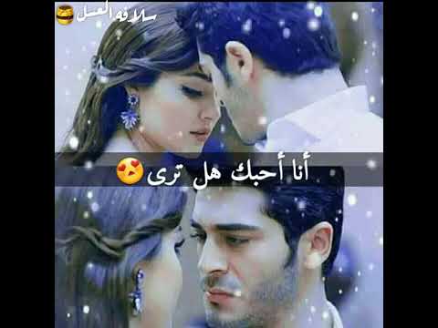 سيني سيفيوروم