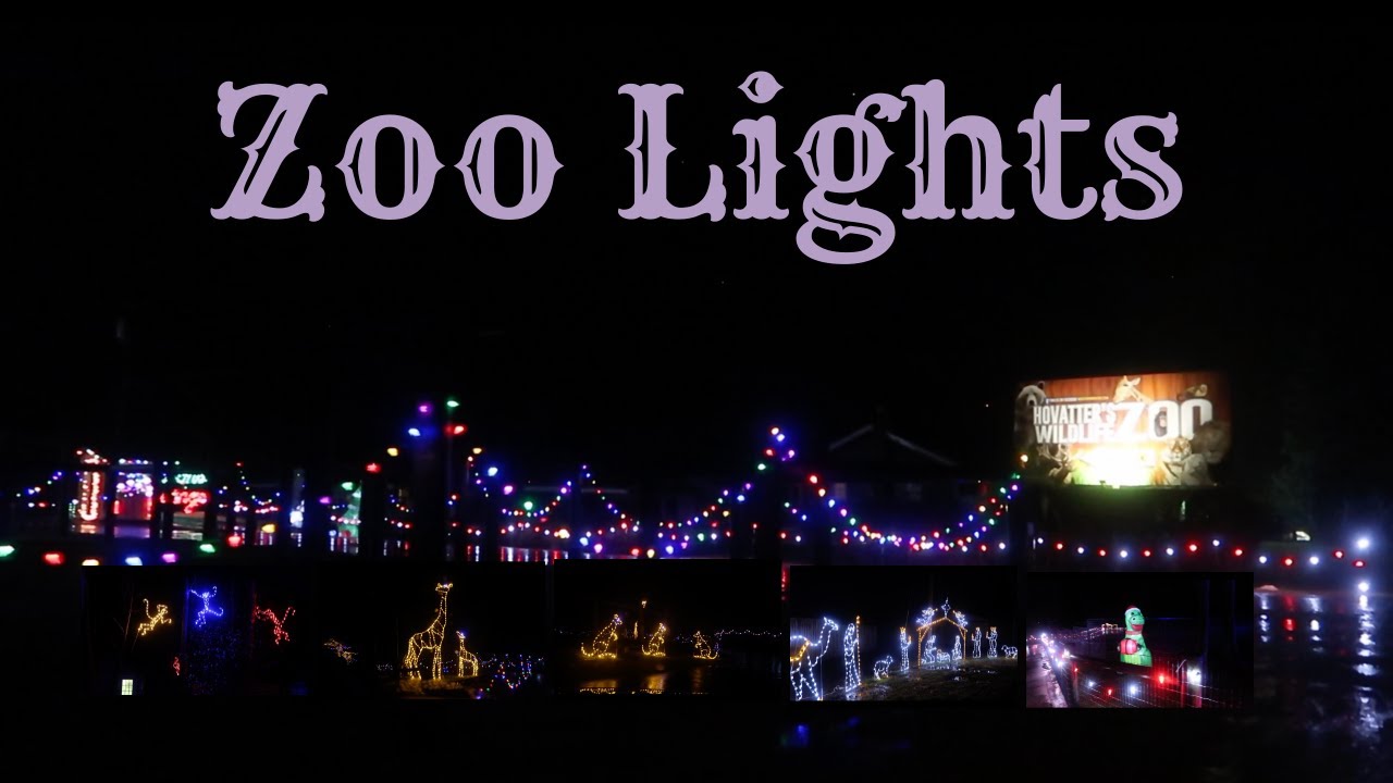 Experience Zoo Lights New Years Eve YouTube