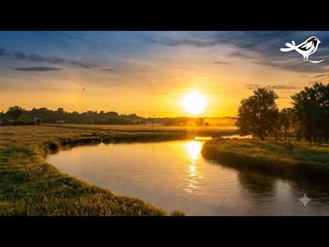 Započnite Dan Bez Stresa 🍀🙏: Klavirska Glazba i Priroda za Relaksaciju 🎹🎶🎧