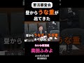 奥田ふみよ「憲法審査会、昼からうな重が出てきた」（2026年4月22日）