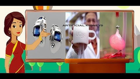 Artificial Kidney