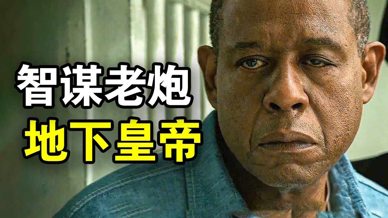 他顶包坐牢10年，出狱后暴力夺权智谋布局，成就一代黑帮教父，一口气看完犯罪悬疑美剧《哈林教父第一季》！