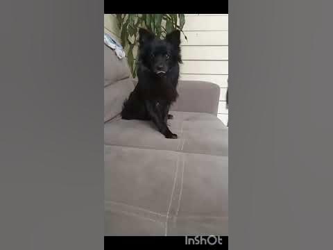 это Соня - YouTube