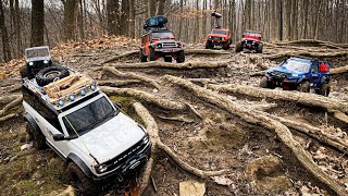 Tiffany falls, Hamilton with GTA RC Crawlers pt 1 | Journey to the falls. Awesome trucks!