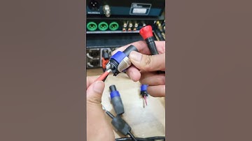 Sai lầm cháy cục đẩy vì đấu rắc Neutrik (Speakon) không đúng #shorts