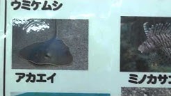 Tsuttarou Wakayama Japan Youtube Tsuttarou Wakayama Japan Youtube
