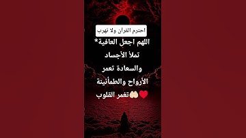 تلاوة القرآن الكريم بصوت يريح القلب #اكسبلور#qruan #الشيخ#القارىء #يريح_القلب#لايك #قرآن