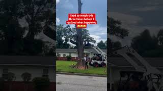 So, did he have to pay #lol #tree #fail #success