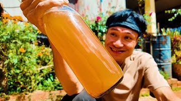 VISSAUS MAKEN IN DE SUBSIDIEPERIODE - KaTu Nguyen