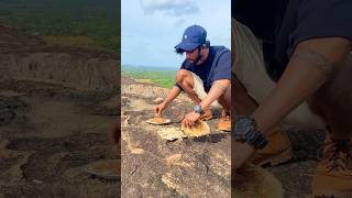 “මෙන්න රොටී Coconut Rotis Freshly Baked on a Stunning Mountaintop 🏔️🥥” #shorts #traditionalcooking