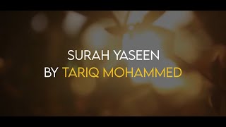 Surah Yaseen | سورة يس | By Tareq Mohammad | Quran Recitation with English Translation
