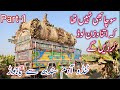 Tando adam sindh to bajuor KPK Part-1|| full loaded banan truck || truck driver pk || truck vellog