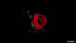 Edguy - Scarlet Rose (Legendada PT) chords