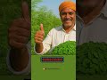 Moringa (munaga) Business, health benefitsll Health Tipsll #health #telugu #andhrapradesh #shorts