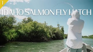 EPIC Western DRY FLY Fishing | Idaho Series ep. 1