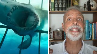 Tiburón Blanco Queda Atrapado en La Jaula Con 2 Buzos!! [REACCIÓN]