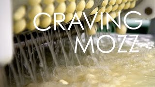 Wisconsin Foodie - Crave Brothers Cheese - Full Episode