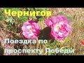 Чернигов  Проспект Победы  Первое впечатление