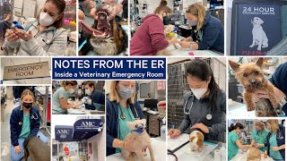 Notes from the ER: Inside a Veterinary Emergency Room