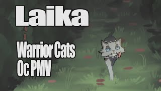 Laika Warrior Cats Oc PMV