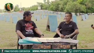 Buhay Magmamanok Ni Boodjie Delgado Breederowner Ng Laramaya Gamefarm