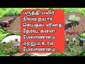    cotton cultivation vivasayapokkisham  part1