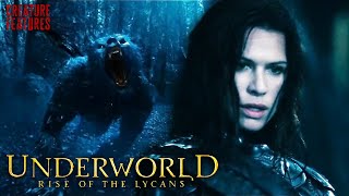 Sonja Tries To Escape The Wild Lycan | Underworld: Rise Of The Lycans | Creature Features