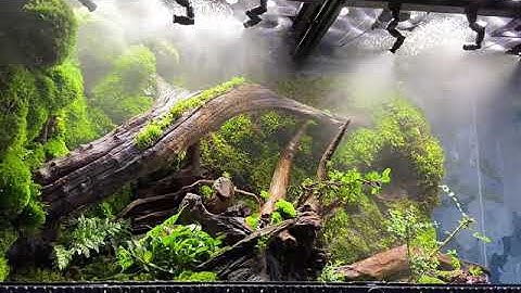 Reptile Mister Smart Misting System