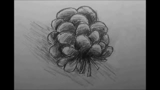 Light Fever's Drawing Tutorial: Pine Cone (TIME-LAPSE)
