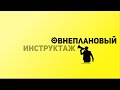 SafeWork13 I Внеплановый инструктаж.