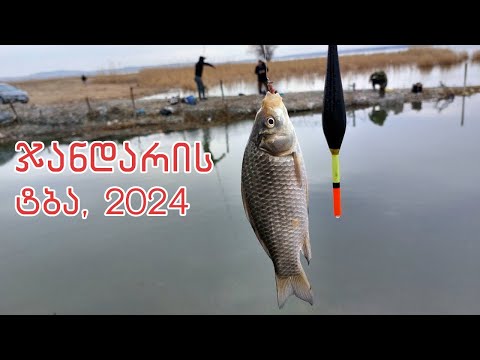 თევზაობა ჯანდარის ტბაზე - 2024