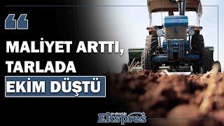 Mali̇yet Artti, Tarlada Eki̇m Düştü Ekspres Haber