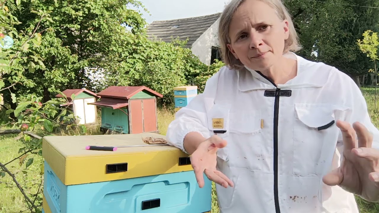 Odpowiedź na pytanie Ułożenie gniazd ciepło, zimno i ...