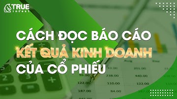 CÁCH ĐỌC BÁO CÁO KẾT QUẢ KINH DOANH TRONG BCTC | HỌC CHỨNG KHOÁN CƠ BẢN CÙNG TRUE INVEST