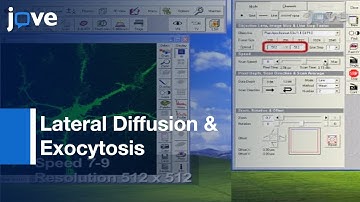 Membrane Proteins By Fluorescence Recovery & Loss Photobleaching l Protocol Preview