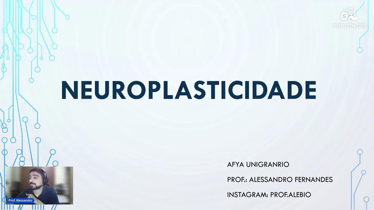Memória e Neuroplasticidade
